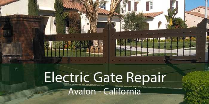 Electric Gate Repair Avalon - California