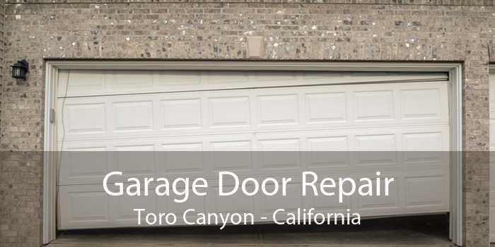Garage Door Repair Toro Canyon - California