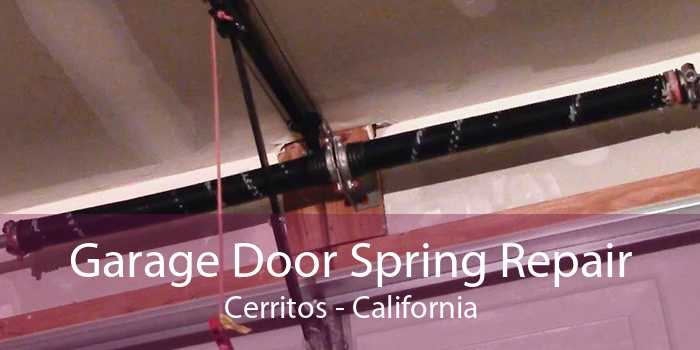 Garage Door Spring Repair Cerritos - California