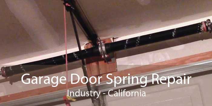 Garage Door Spring Repair Industry - California