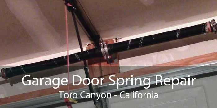 Garage Door Spring Repair Toro Canyon - California