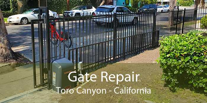 Gate Repair Toro Canyon - California