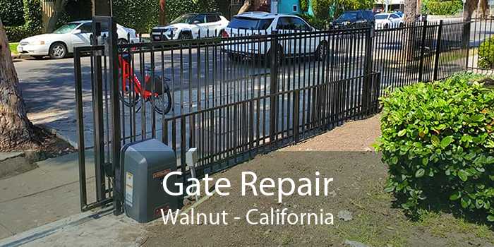 Gate Repair Walnut - California